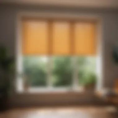 Stylish Window Sun Shades that Enhance Interior Design Stylish window sun shades complementing interior decor