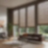 Variety of window sun shades displayed in a modern home setting