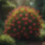 Vibrant flowering evergreen shrub in a lush garden setting
