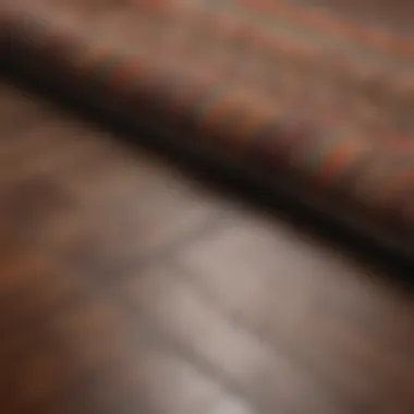 Close-up of hardwood floor and rug interaction