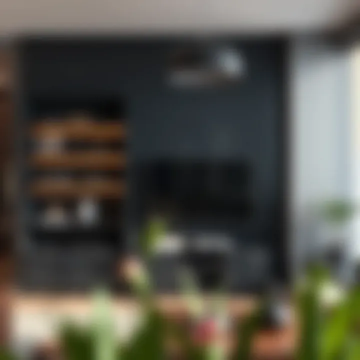 High-End Wall Units: A Comprehensive Exploration Summary