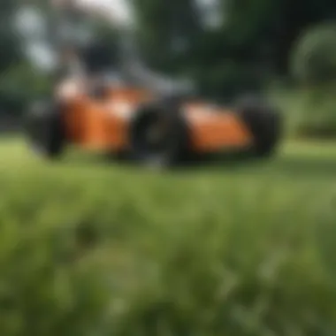 Tools for lawn repair
