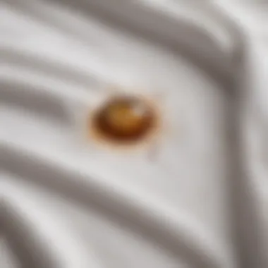 Coffee stain on a pristine white shirt fabric