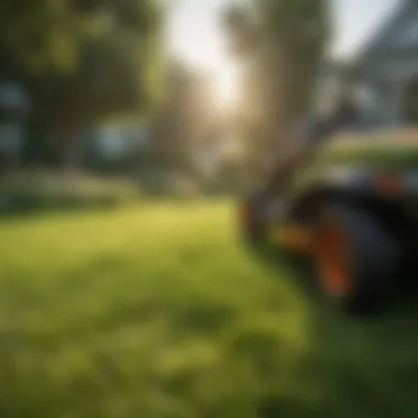 Lush green lawn thriving under sunlight