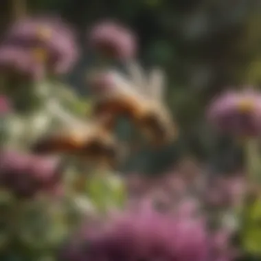A close-up of honey bees at work in a vibrant garden