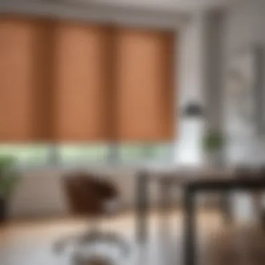 Chic Roller Blinds for Office Spaces Stylish roller blinds in a contemporary office setting.