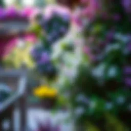 Jasmine Gardening: Cultivating a Fragrant Haven Introduction