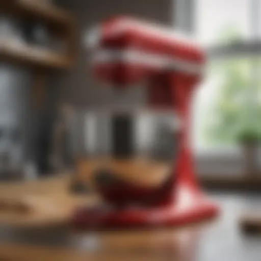 Overview of KitchenAid Professional Mixer Parts