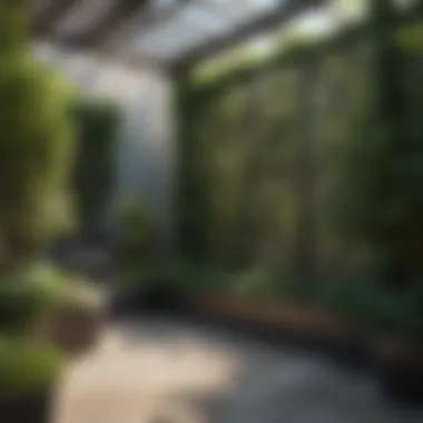 Garden Enclosed by Trellis for Privacy A beautifully landscaped garden featuring a trellis screen enhancing privacy