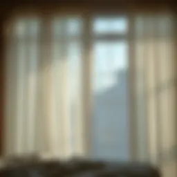 Elegant sheer curtains softly filtering light