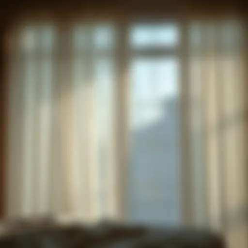 Elegant sheer curtains softly filtering light