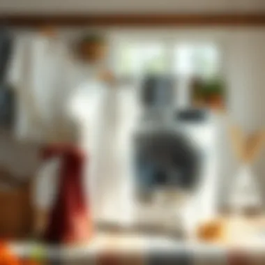 Mastering the Art of Washing White Clothes with Color Introduction Mastering the Art of Washing White Clothes with Color Introduction