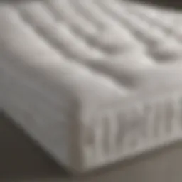 Visual representation of various mattress types