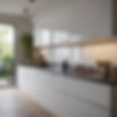 Minimalist kitchen design showcasing counter space