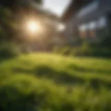 A lush green lawn basking under the morning sun