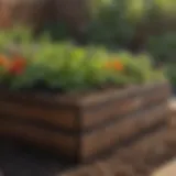 A beautifully layered raised garden bed showcasing different soil types