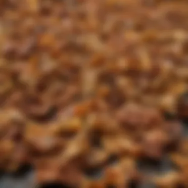 Aromatic Wood Chips Enhancing Pizza Flavor Close-up of aromatic wood chips contributing unique flavors to pizza