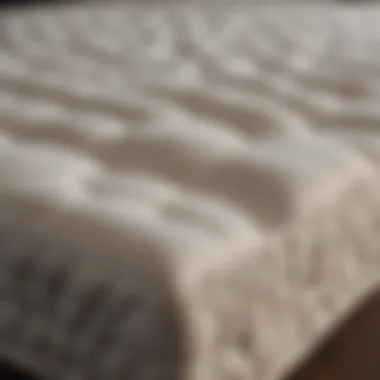 Details of Organic Mattress Materials Close-up of organic materials used in mattress construction
