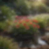 Vibrant perennial flowers flourishing in a wetland garden under the sun