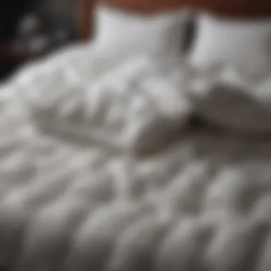 Essential Maintenance Tips for Comforters Illustration of comforter maintenance tips