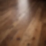 Elegant hardwood flooring in natural light