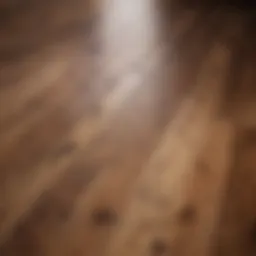 Elegant hardwood flooring in natural light