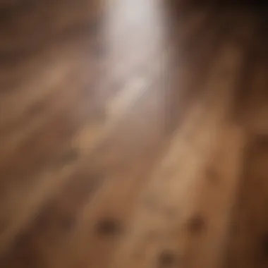 Elegant hardwood flooring in natural light