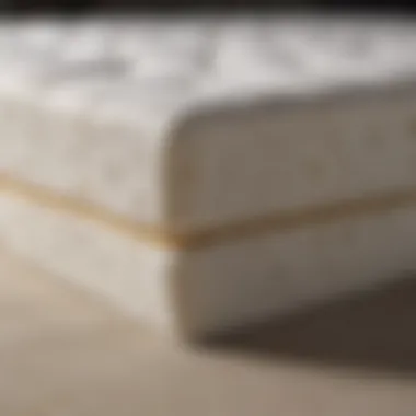 Close-up of mattress materials showcasing memory foam and latex