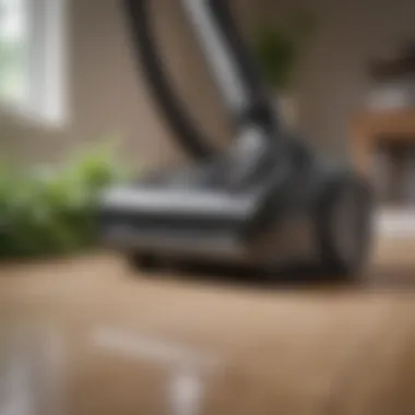 User-friendly controls on a vacuum cleaner