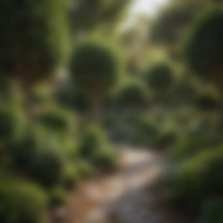 A diverse garden showcasing various small trees suitable for wet conditions