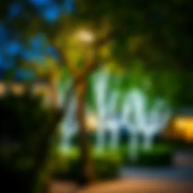 Notable Solar Tree Up Lights: A Comprehensive Guide to Sustainable Outdoor Illumination Notable Solar Tree Up Lights: A Comprehensive Guide to Sustainable Outdoor Illumination