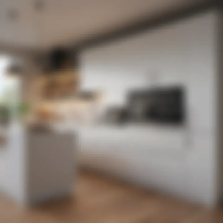 Energy-efficient appliances in a kitchen