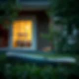 Strategies to Prevent Snakes Around Your Home Introduction