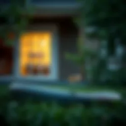 Strategies to Prevent Snakes Around Your Home Introduction