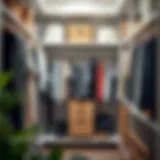 A beautifully organized closet showcasing neatly arranged clothing and accessories.