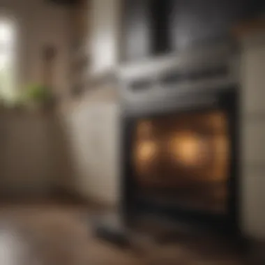 Energy efficiency rating display for gas ovens
