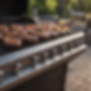 Exploring Grill Features Close-up of a high-quality grill with advanced features.