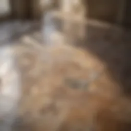 A pristine tiled floor reflecting sunlight