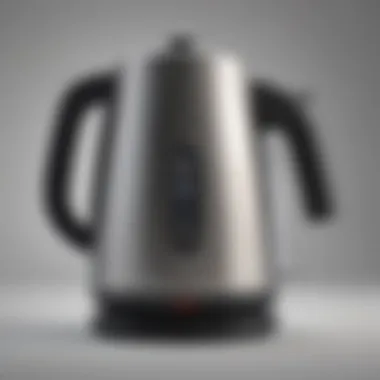 Close-up of a stainless steel electric kettle showcasing its sleek design.