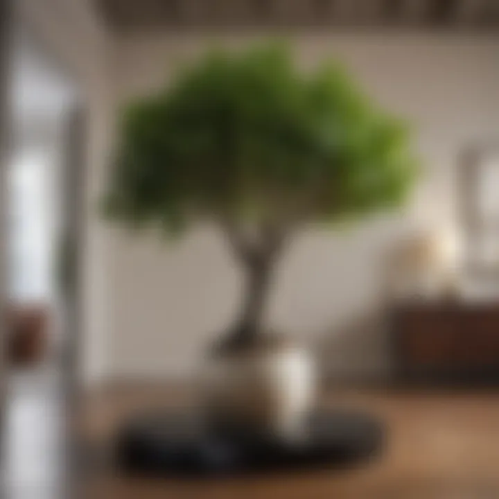 Elegant interior design featuring a fig tree