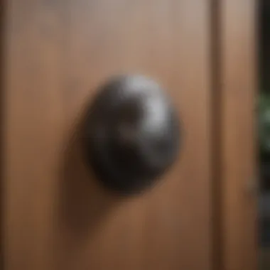 Close-up of durable door materials highlighting energy efficiency and security features