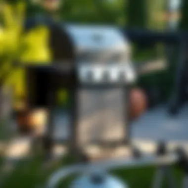 The Utility and Aesthetics of Gas Grills with Wheels Summary