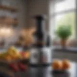 An elegant countertop juicer surrounded by fresh fruits