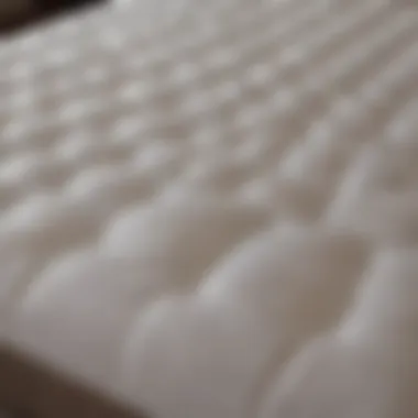 Different types of mattress pads displayed for comparison