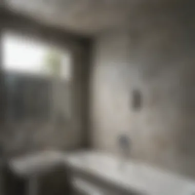 Types of Mold in Bathrooms Infographic illustrating types of mold commonly found in bathrooms