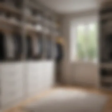 Visual representation of closet organization techniques