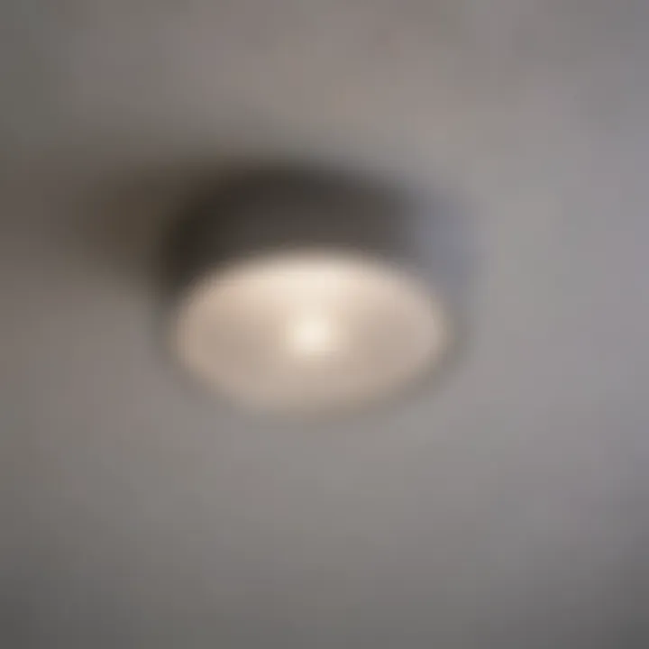 Close-up view of an energy-efficient flush light