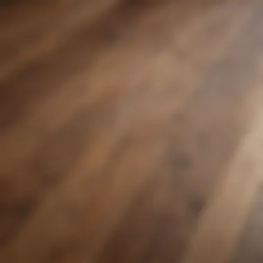 Varieties of Hardwood Flooring Close-up of different hardwood flooring types