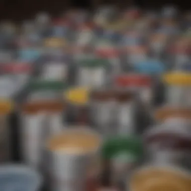 Close-up view of premium paint cans highlighting different types and finishes.