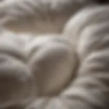 Luxurious texture of down filling
